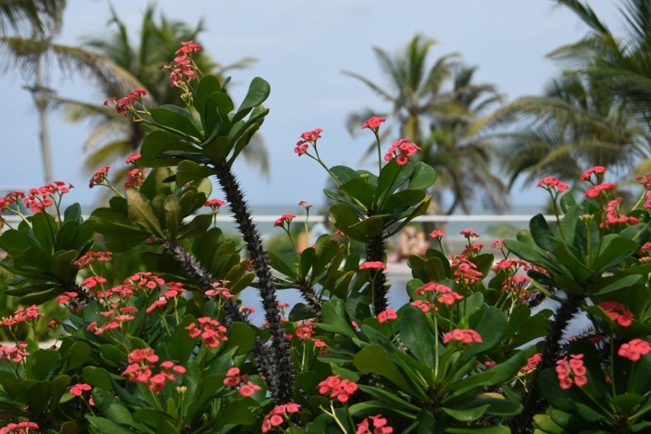 Hermoso Apartamento Con Todas Las Comodidades Acceso Directo A La Playa Morros Epic Sector La Boquilla Cumple Protocolos De Bioseguridad Cartagena エクステリア 写真